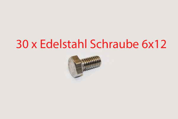 30x stainless steel hexagon screw M6X12