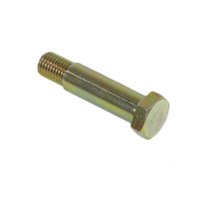 Long fitting screw for joint disc