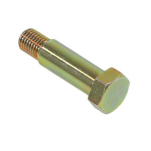 Fitting screw short for joint disc