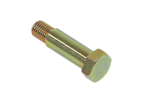 Fitting screw short for joint disc