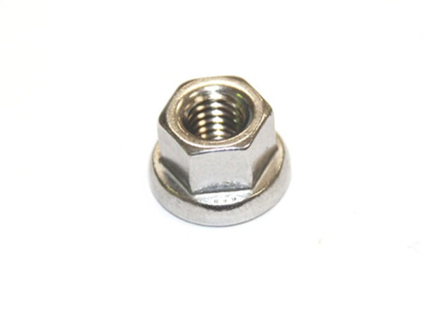 M6 stainless steel hex nut with collar